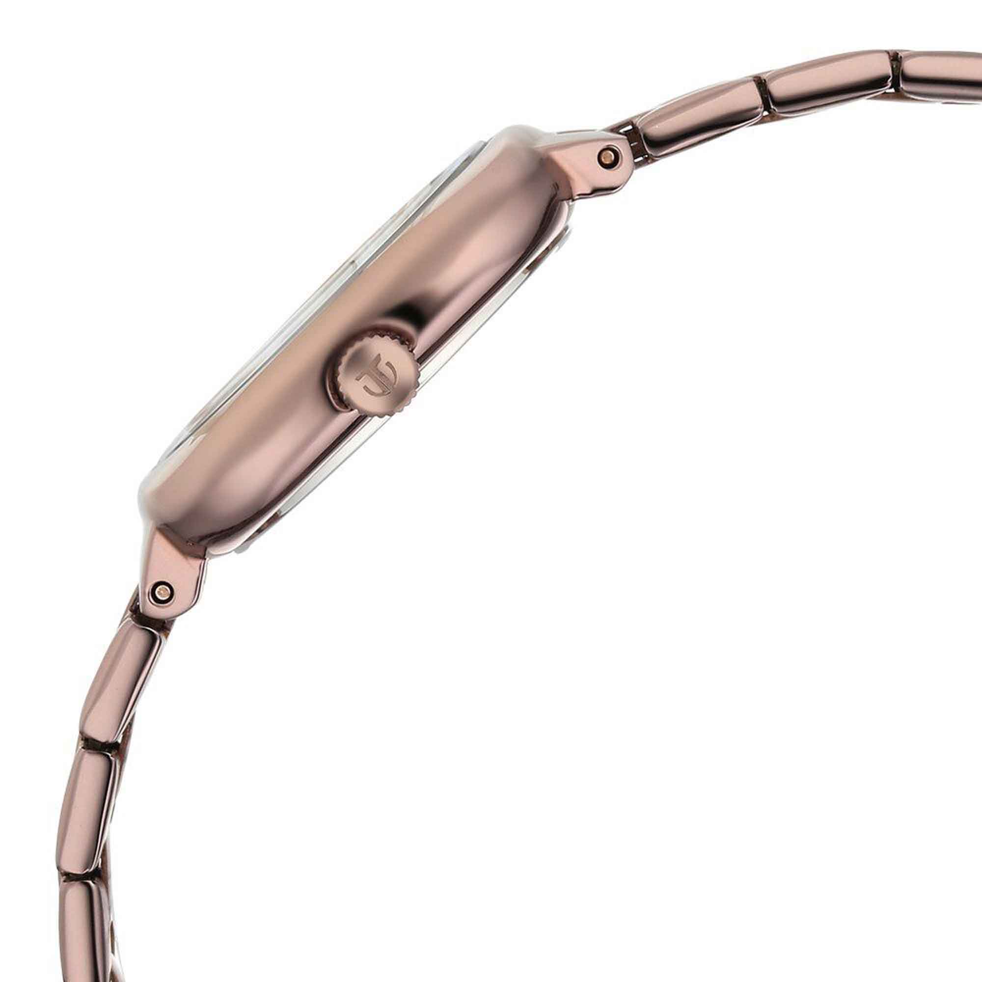 Picture of Titan Horizon Quartz Analog Brown Dial Stainless Steel Strap Watch For Women