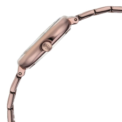 Picture of Titan Horizon Quartz Analog Brown Dial Stainless Steel Strap Watch For Women