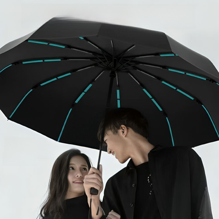 Picture of BMW Double Layer 12 Ribs Umbrella | MNK SHOP (Brown)