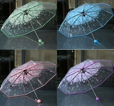 Picture of Multicolor Edge Transparent Umbrella | MNK SHOP (Purple)