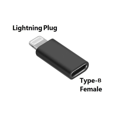 Picture of Micro USB Type-B To Iphone Lighting Charging Metal Converter