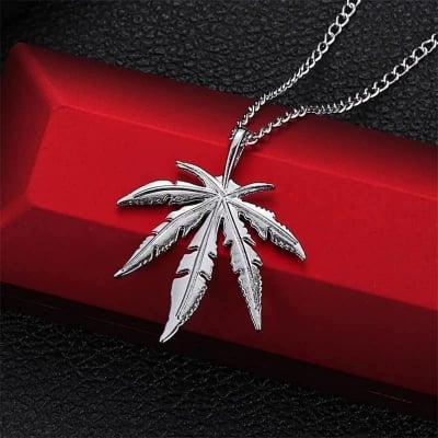 Picture of New Stainless Steel Stylish Chain with Locket For Men's