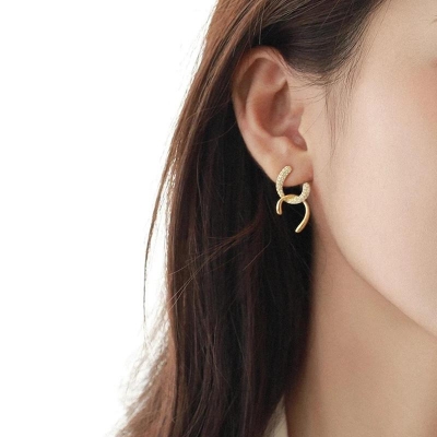 Picture of Top earring hoop design for girls/women