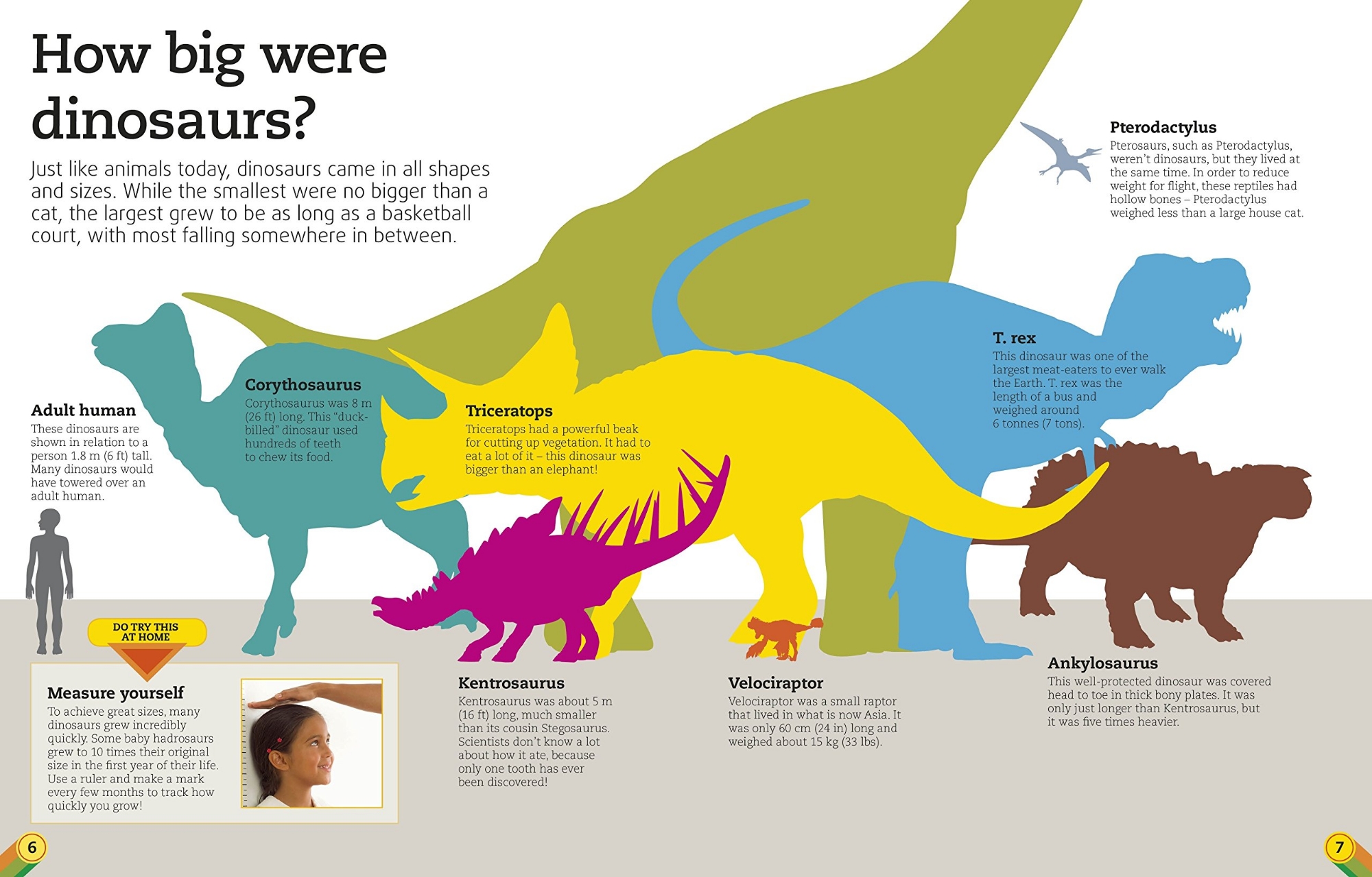 Picture of Utterly Amazing Dinosaur: Packed with Pop-ups, Flaps, and Prehistoric Facts! Hardcover