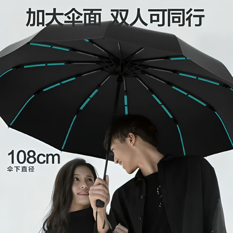 Picture of BMW Street Style 12 Ribs Rain Shield | MNK SHOP (Maroon)
