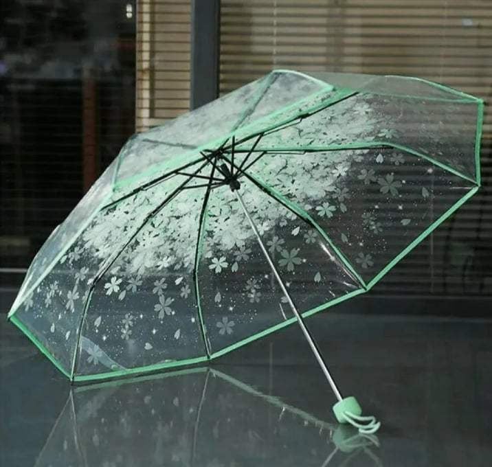 Picture of Stylish Rain Gear with See-Through Shield | MNK SHOP (Purple)