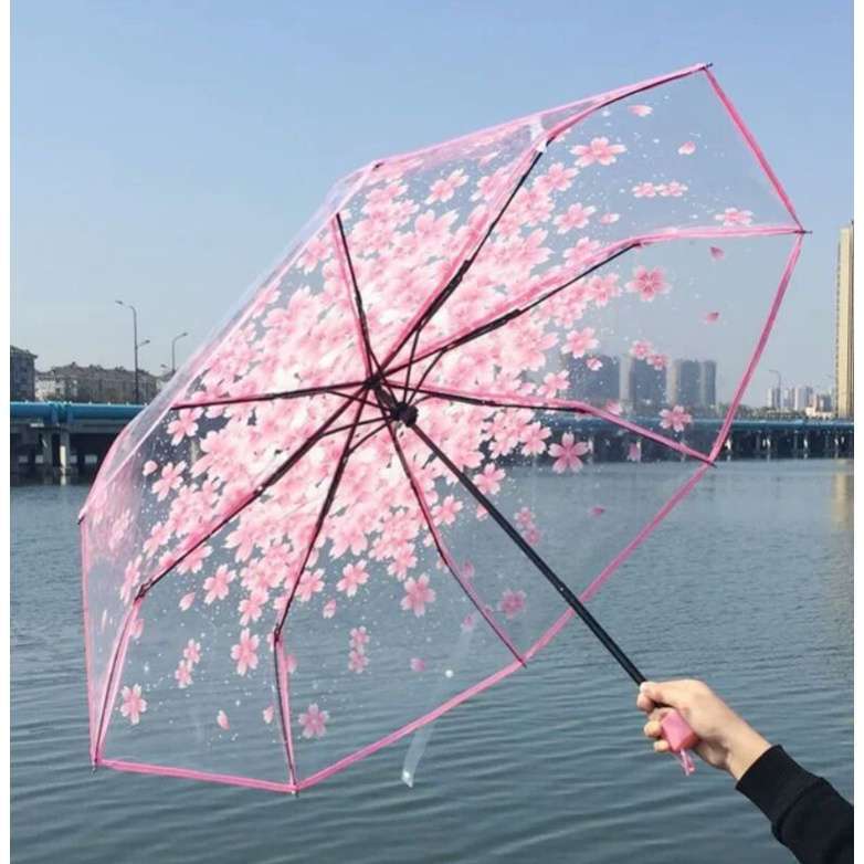 Picture of High-Durability Transparent Rain Shield | MNK SHOP (Blue)