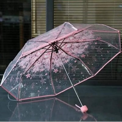 Picture of Transparent Rain Gear with Strong 8 Ribs | MNK SHOP (Pink)