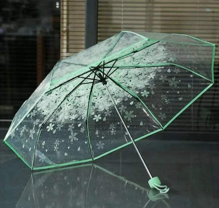 Picture of Transparent Rain Gear with Strong 8 Ribs | MNK SHOP (Pink)