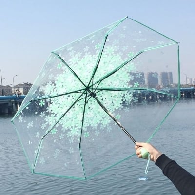 Picture of Stylish Rain Gear with See-Through Shield | MNK SHOP (Purple)
