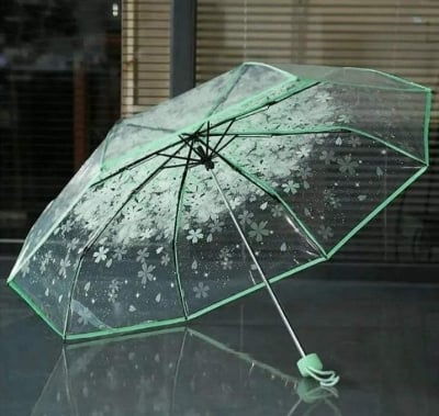 Picture of Stylish Rain Gear with Clear Dome Cover | MNK SHOP (Pink)