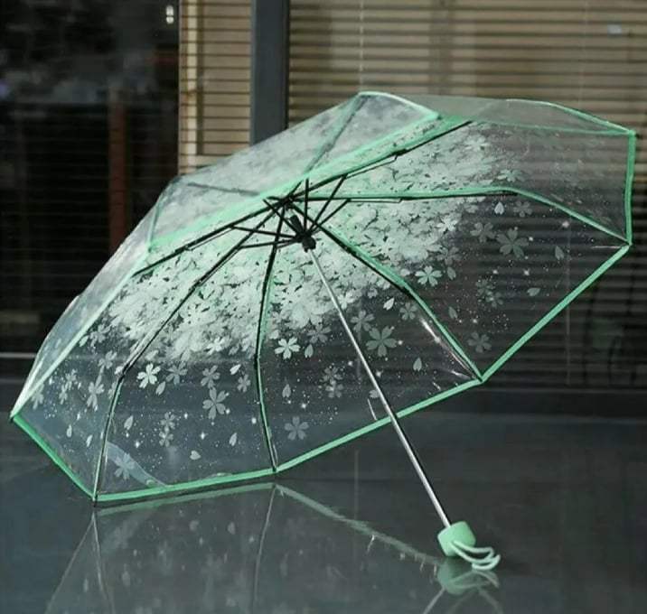 Picture of Transparent Rain Shield with Metal Frame | MNK SHOP (Purple)