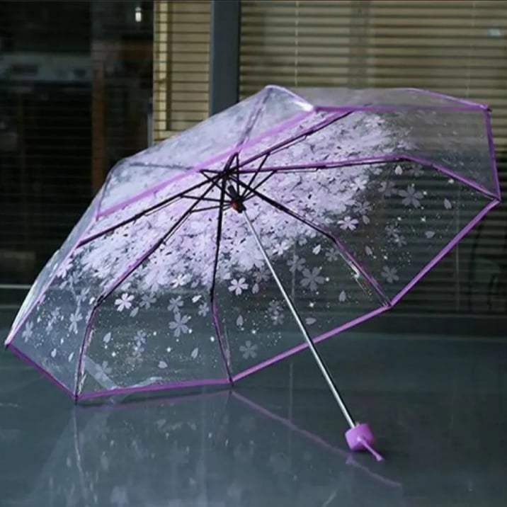 Picture of Stylish Rain Gear with Clear Dome Cover | MNK SHOP (Pink)