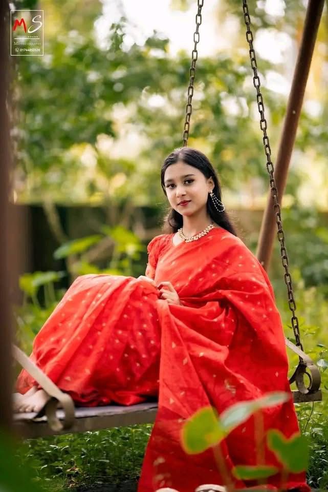 Picture of  Traditional Nakful Jamdani Saree