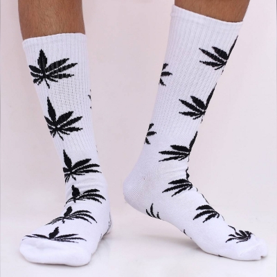 Picture of Premium Long Socks For Men  (Multi-color)