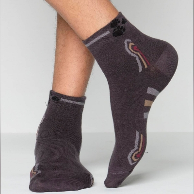 Picture of Premium Ankle Socks for Men  (Multi Colour)