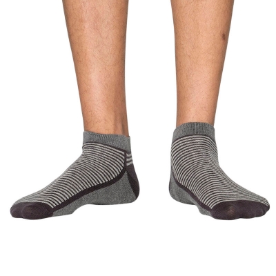 Picture of Premium Ankle Socks for Men  (Multi)