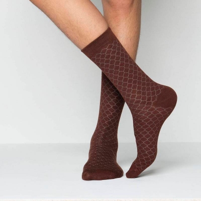 Picture of Premium Long Socks For Men  (Chocolate)