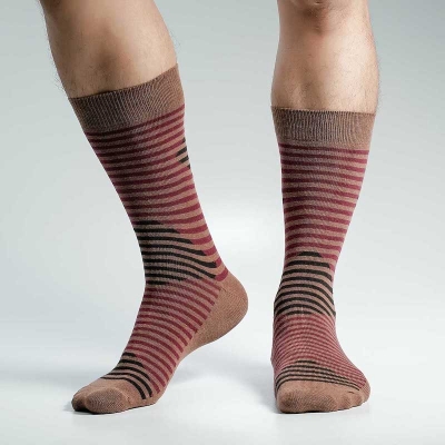 Picture of Swan Viara Long Socks For Men  (Brown)
