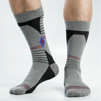 Picture of Swan 1000 Miles Long Socks For Men  (Ash)