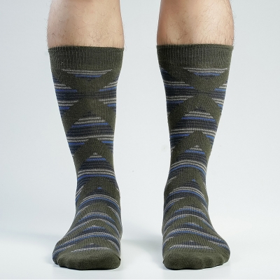 Picture of Swan 1000 Miles Long Socks For Men  (Olive)