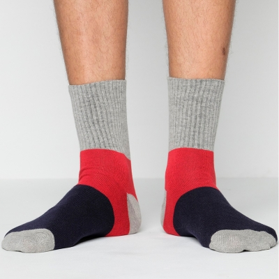 Picture of Premium Ankle Socks For Men  (Multi-color)