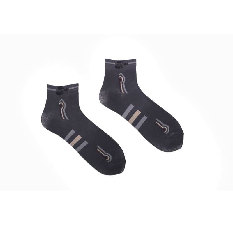 Picture of Premium Ankle Socks for Men  (Multi Colour)