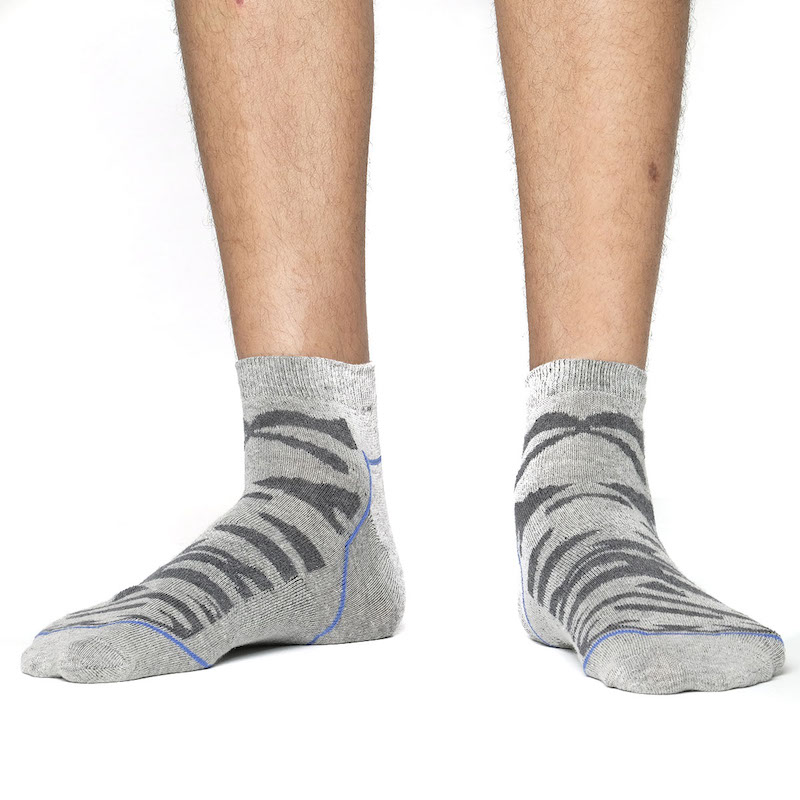 Picture of Premium Ankle Socks for Men  (Ash)