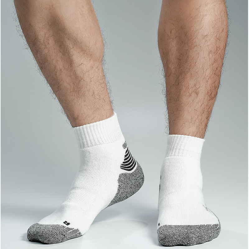 Picture of Premium Terry Ankle Socks For Men  (Multi)