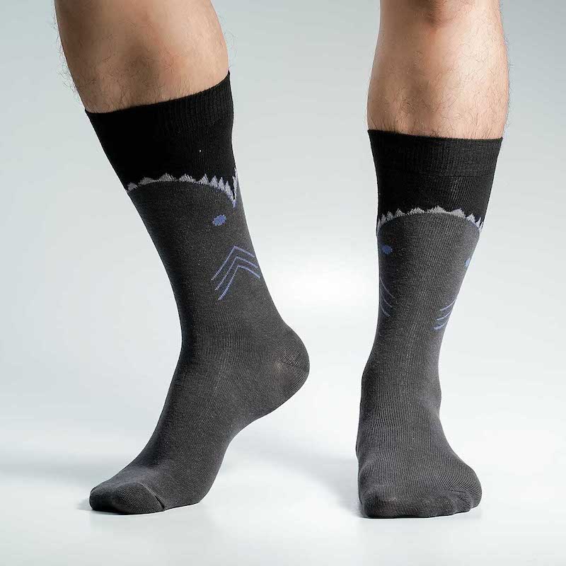 Picture of Swan Viara Long Socks For Men  (Charcoal)