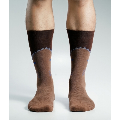 Picture of Swan Viara Long Socks For Men  (Brown)