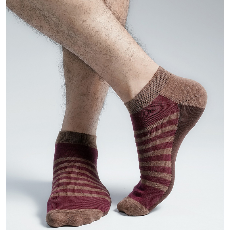 Picture of Premium Ankle Socks For Men  (Multi)