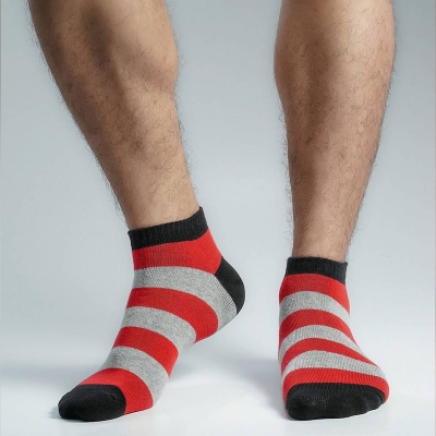 Picture of Premium Ankle Socks For Men  (Multi)
