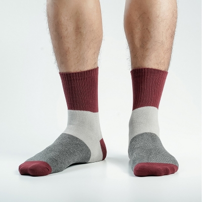 Picture of Premium Ankle Socks For Men  (Multi)