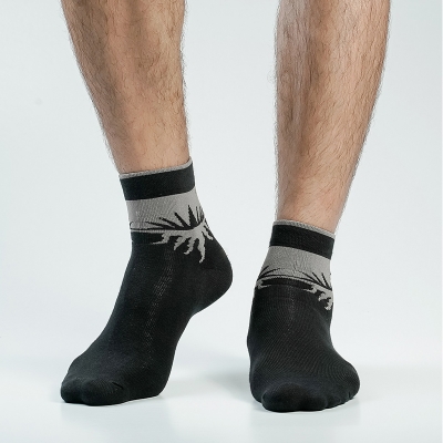 Picture of Pridezone Ankle Socks For Men  (Black)