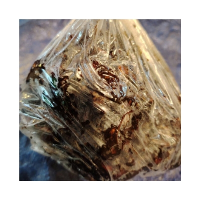 Picture of তেঁতুল- 500g indian