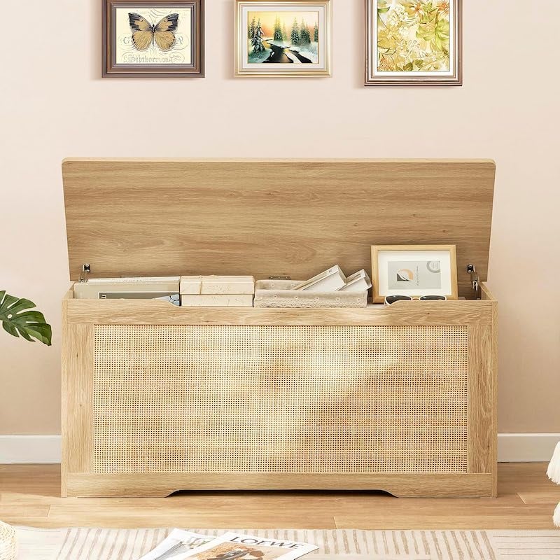 Picture of Foldable Storage Chest with Lid, Elegant Modern Style, Space-Saving Organizer for Living Room Bedroom Entryway, 20/40