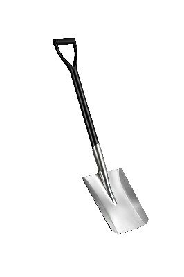 Picture of MS Belcha N