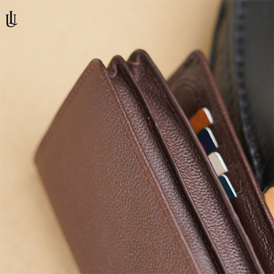 Picture of Kane Long Wallet V2 – Chocolate [g]