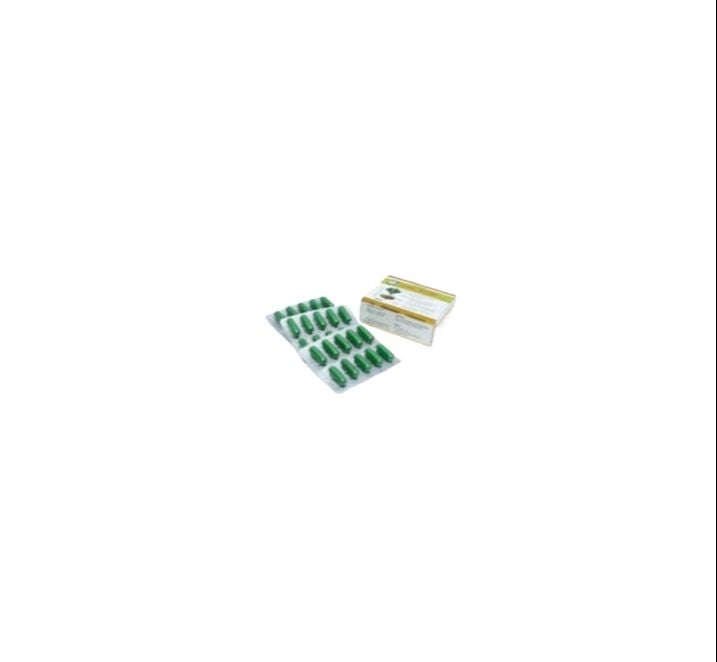 Picture of Ginko Biloba 40mg Modern Herbal