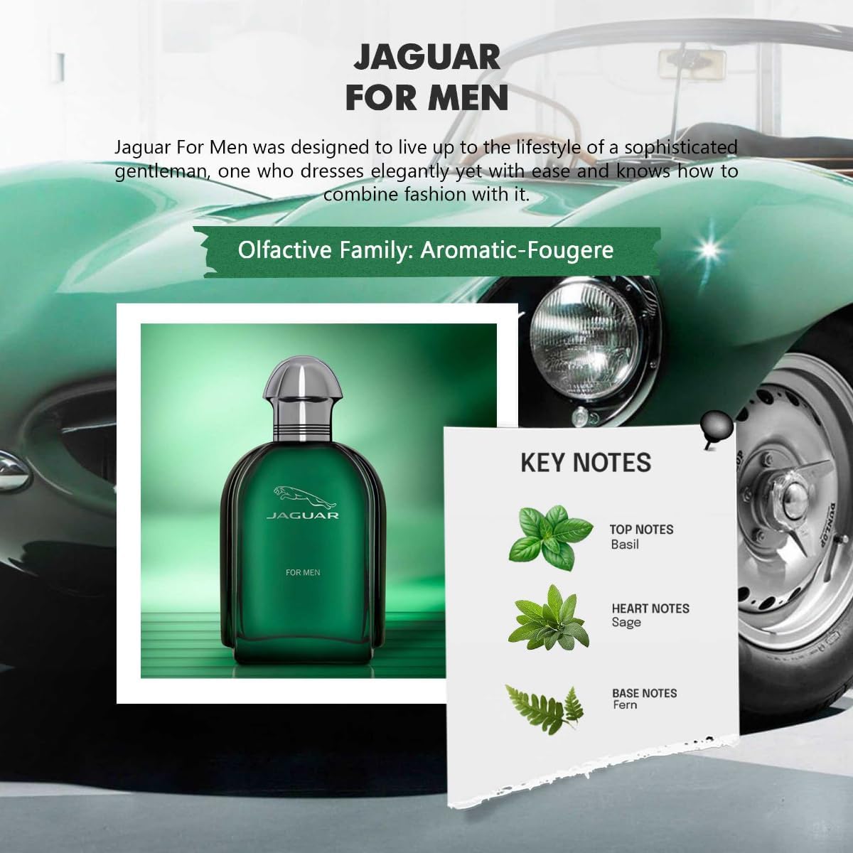 Picture of International France product Jaguar For Men Perfume 100 ML