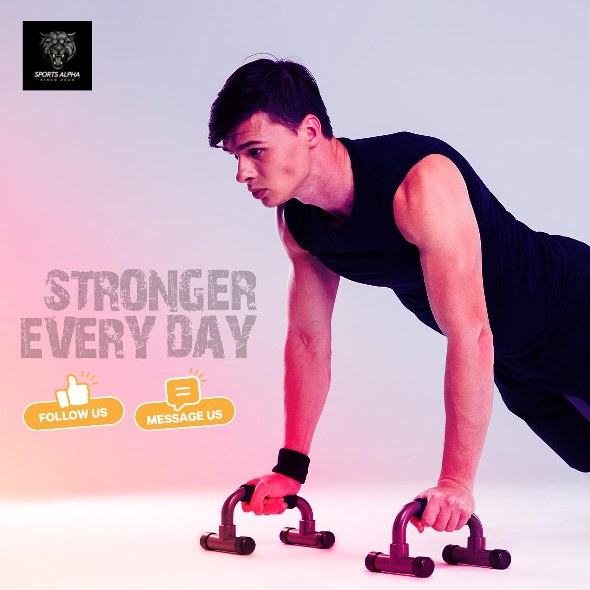 Picture of Push Up Bars - Black and Silver - 1 pcs - Sports Alpha Silver