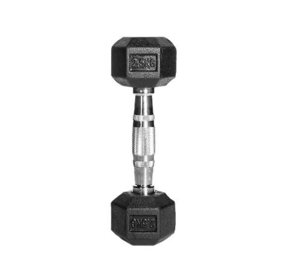 Picture of Hex Dumbbell - 2.5kg Dumbbell(1 Pcs) - Black - Sports Alpha Black