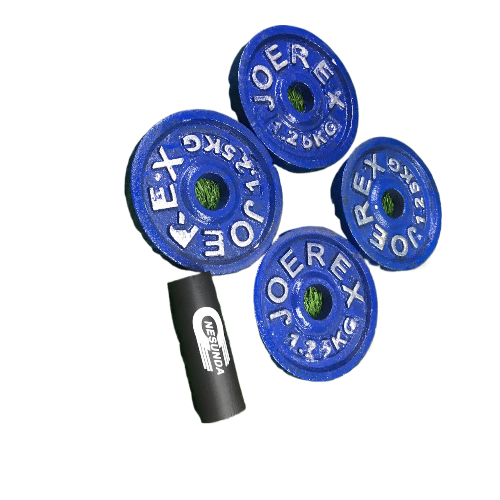 Picture of 5 Kg Dumbbell Combo (1.25kg x 4 Piece Dumbbell Plate + 1 Piece 10 inch Stick) - Blue - Sports Alpha Blue