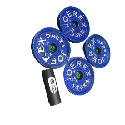 Picture of 5 Kg Dumbbell Combo (1.25kg x 4 Piece Dumbbell Plate + 1 Piece 10 inch Stick) - Blue - Sports Alpha Blue