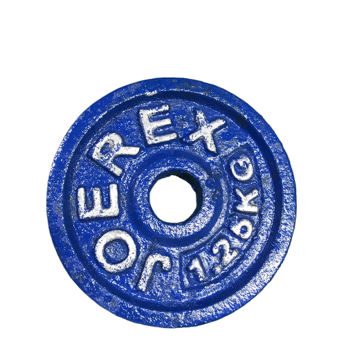 Picture of 5 Kg Dumbbell Combo (1.25kg x 4 Piece Dumbbell Plate + 1 Piece 10 inch Stick) - Blue - Sports Alpha Blue