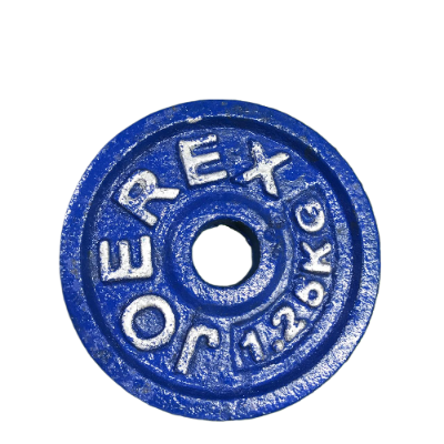 Picture of 5 Kg Dumbbell Combo (1.25kg x 4 Piece Dumbbell Plate + 1 Piece 10 inch Stick) - Blue - Sports Alpha Blue