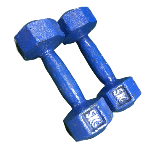 Picture of 5KG Blue Dumbbell - 2Pcs - Blue - Sports Alpha Blue