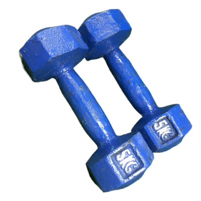 Picture of 5KG Blue Dumbbell - 2Pcs - Blue - Sports Alpha Blue