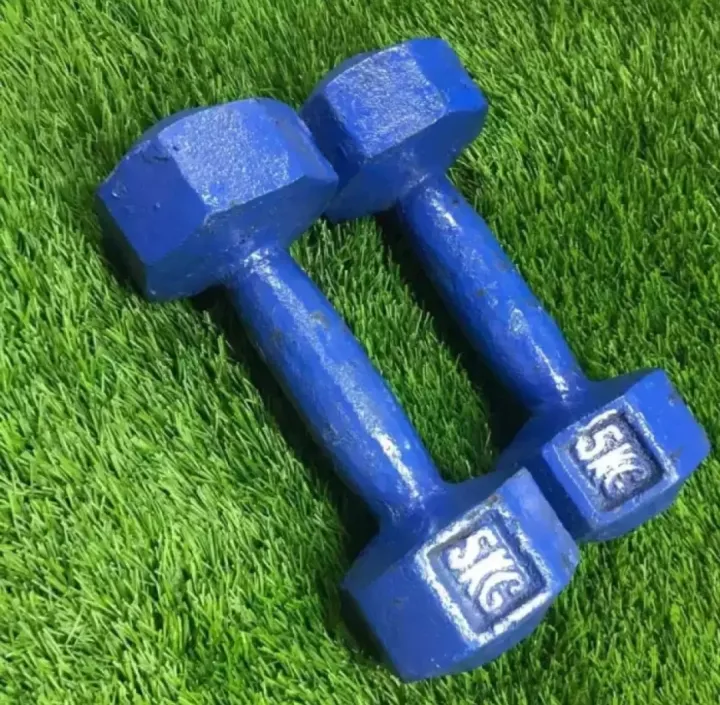 Picture of 5KG Blue Dumbbell - 2Pcs - Blue - Sports Alpha Blue